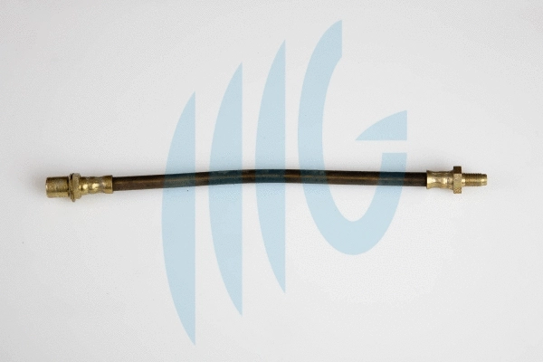 Brake Hose (02561195)