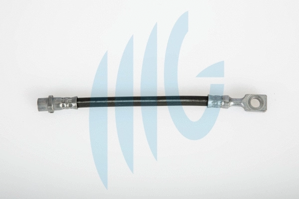 Brake Hose (02360452)