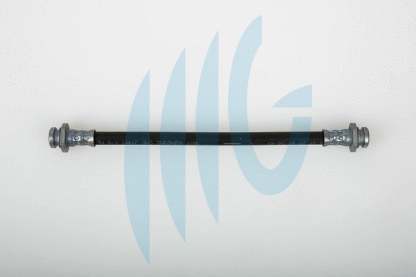 Brake Hose (02100729)