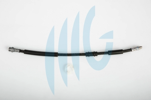Brake Hose (02120183)