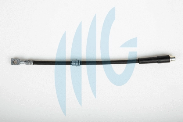 Brake Hose (02360506)