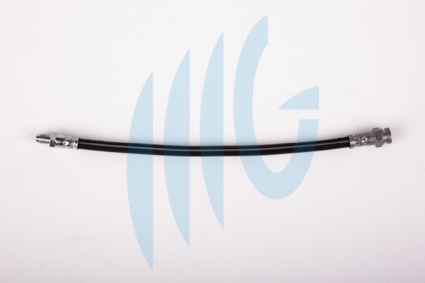 Brake Hose (02120119)