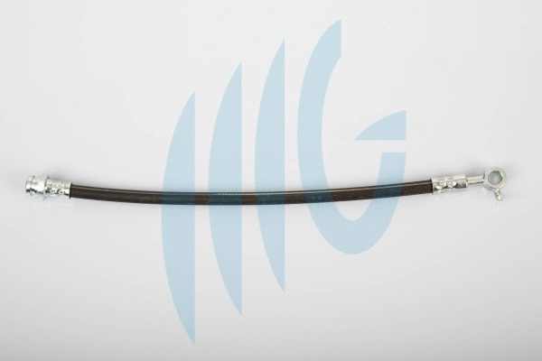 Brake Hose (02300898)