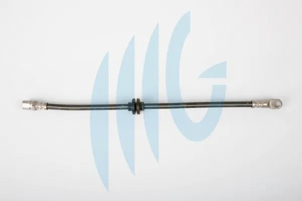 Brake Hose (02260362)