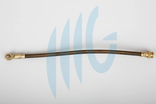 Brake Hose (02500615)