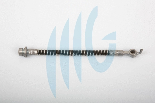 Brake Hose (02280444)