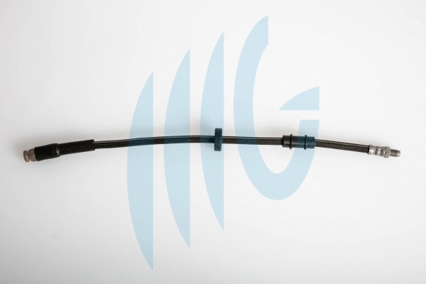 Brake Hose (02120246)