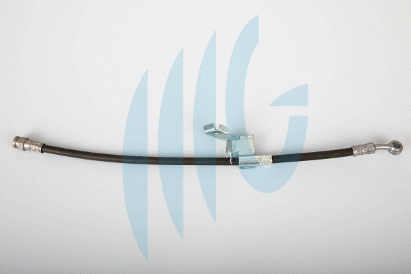 Brake Hose (02160912)