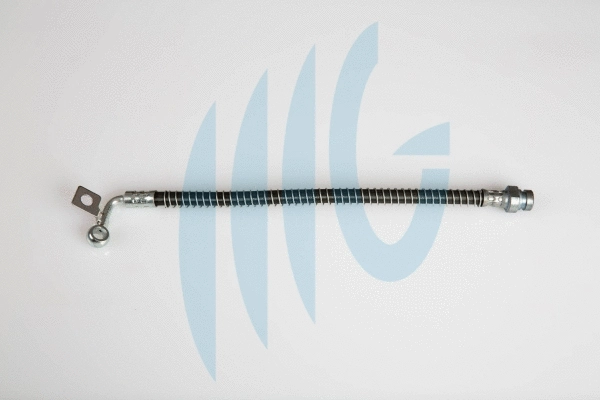 Brake Hose (02160925)