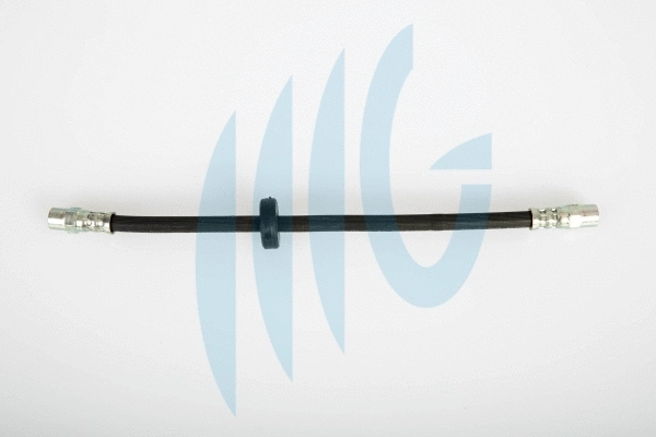 Brake Hose (02020038)