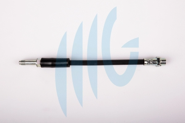 Brake Hose (02040255)