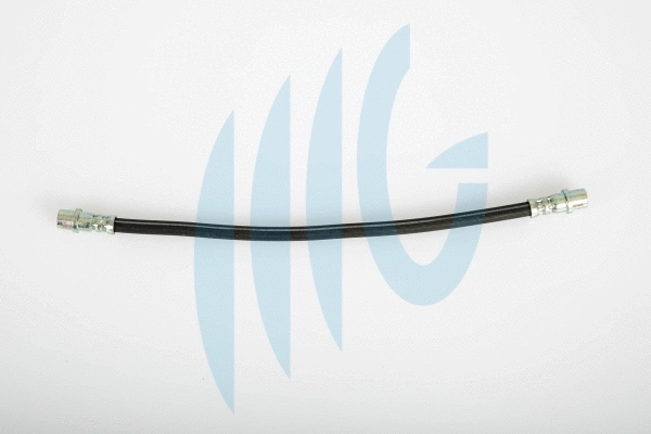 Brake Hose (02080443)