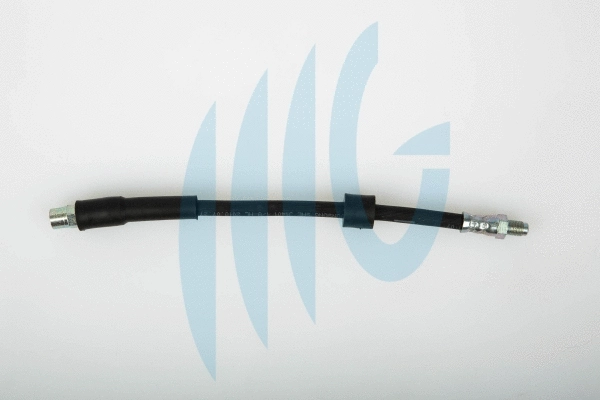 Brake Hose (02040248)