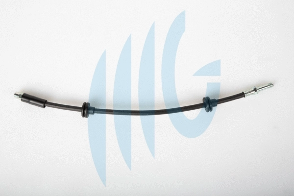 Brake Hose (02080446)