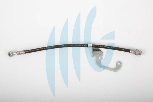 Brake Hose (02160885)