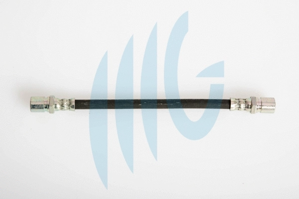 Brake Hose (02120133)