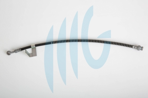 Brake Hose (02160879)