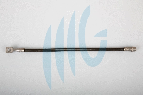 Brake Hose (02360525)