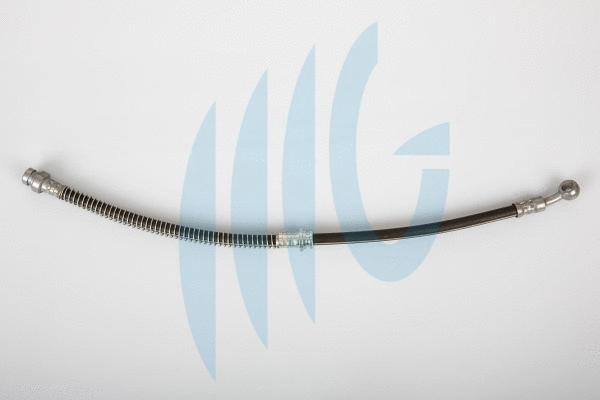 Brake Hose (02160949)