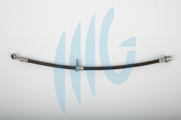 Brake Hose (02180864)