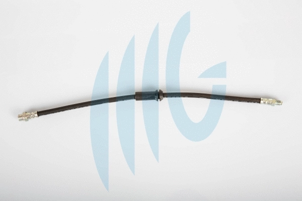 Brake Hose (02040286)