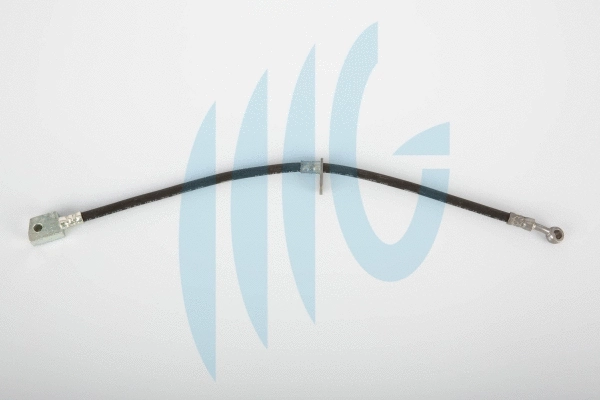 Brake Hose (02180884)