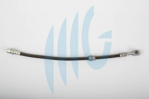 Brake Hose (02360460)
