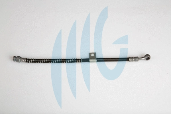 Brake Hose (02160851)