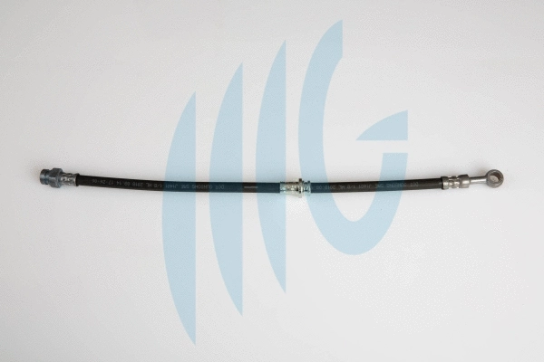Brake Hose (02160944)