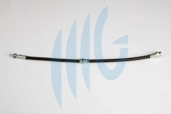 Brake Hose (02160894)