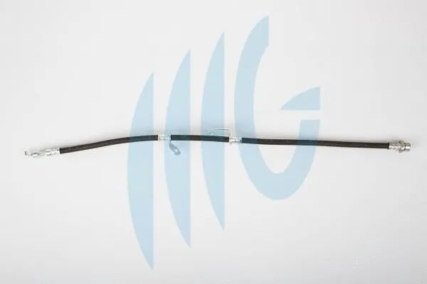 Brake Hose (02561138)