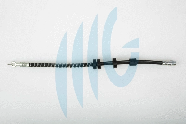 Brake Hose (02060296)