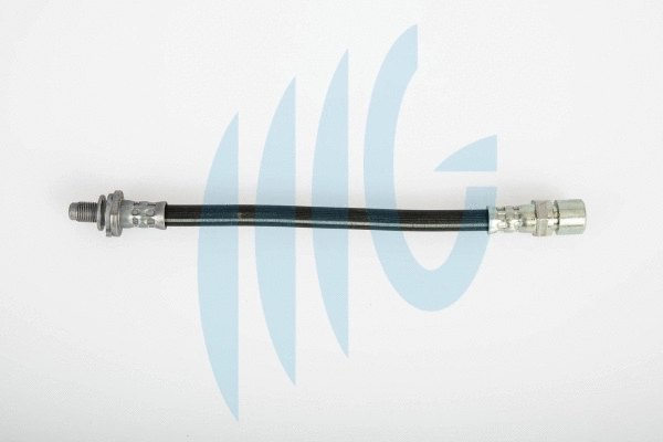 Brake Hose (02360490)