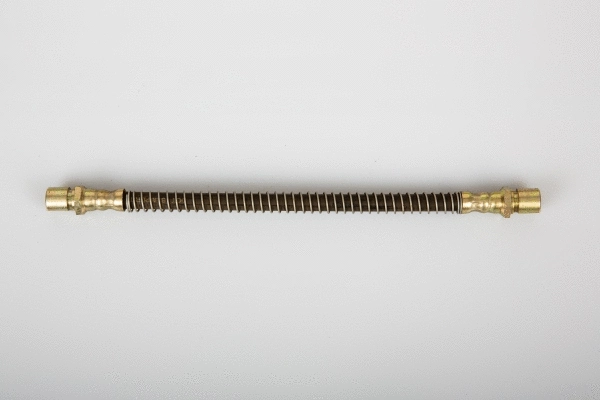 Brake Hose (02070036)