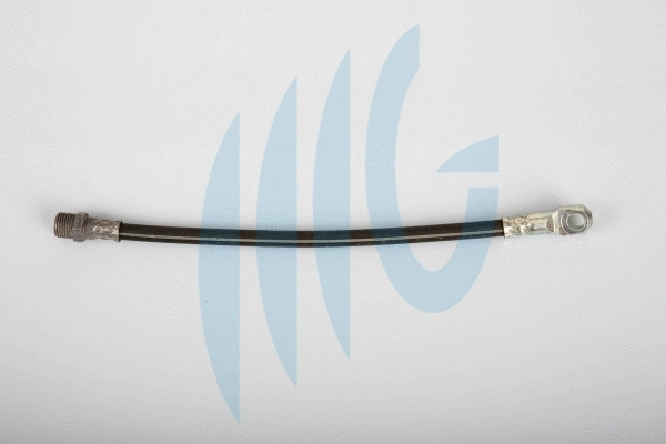 Brake Hose (02120120)
