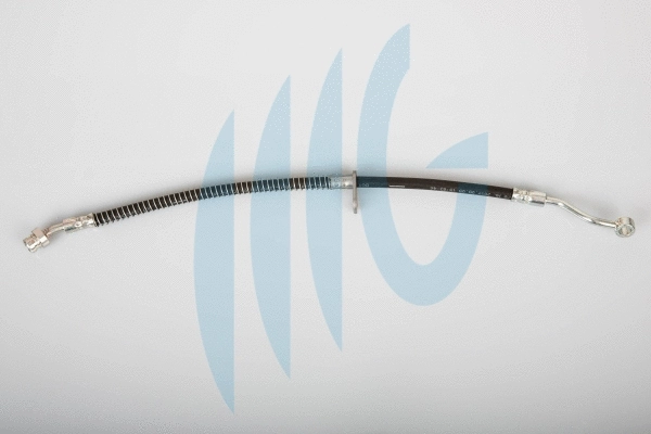 Brake Hose (02160887)