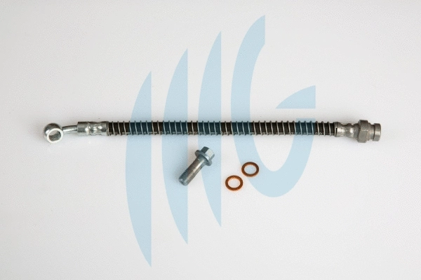 Brake Hose (02160888)