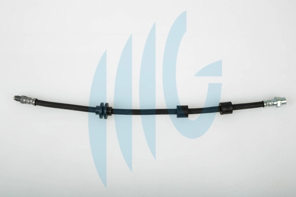 Brake Hose (02040256)
