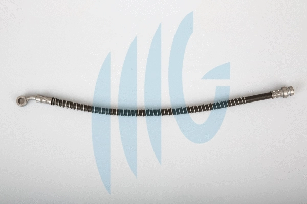 Brake Hose (02160852)