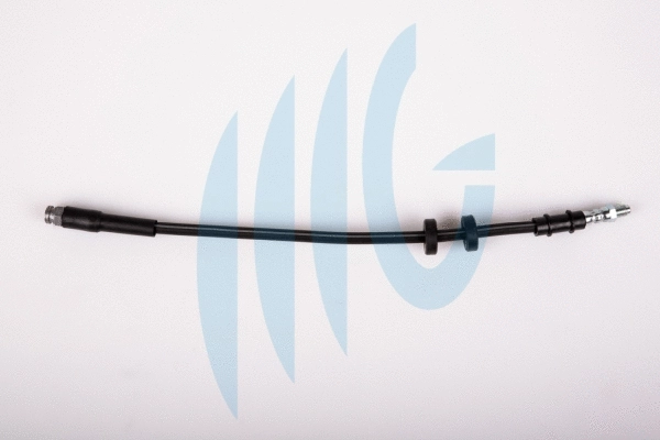 Brake Hose (02060289)