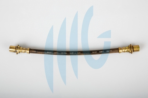 Brake Hose (02561032)