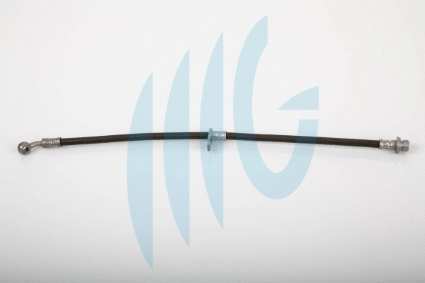 Brake Hose (02180841)