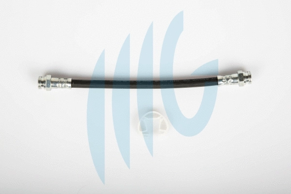 Brake Hose (02120139)