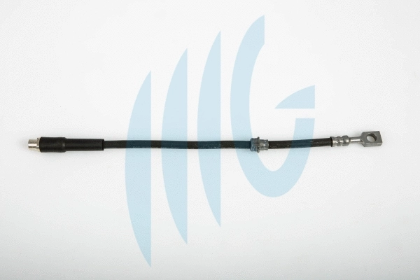 Brake Hose (02360508)