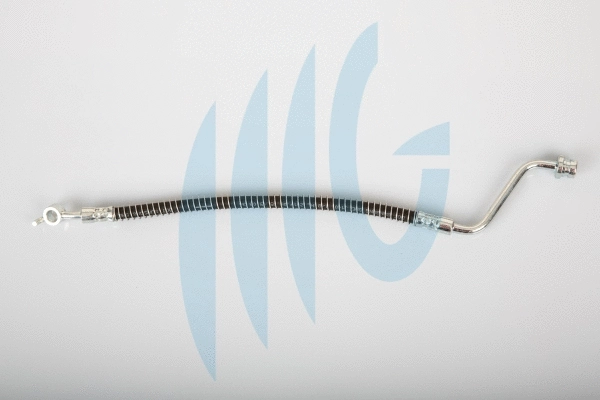 Brake Hose (02160909)