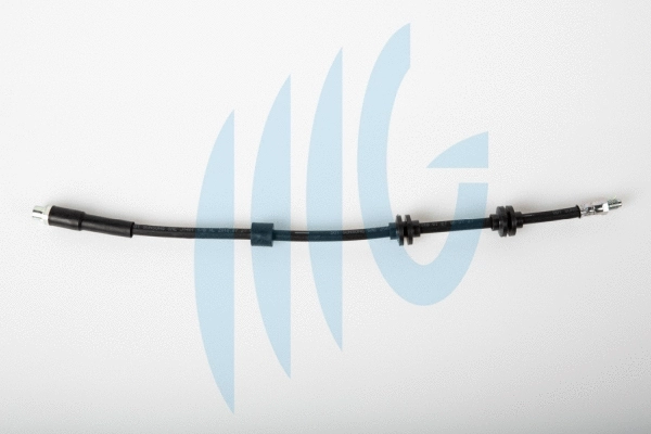 Brake Hose (02040259)