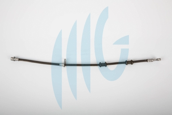 Brake Hose (02180855)