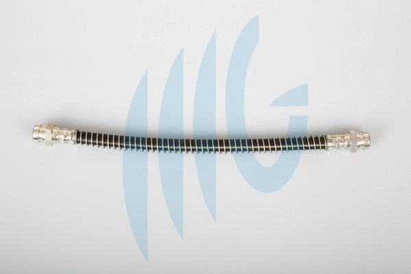 Brake Hose (02160876)