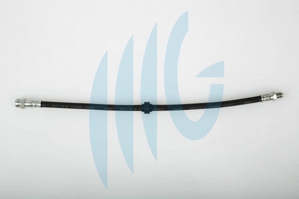 Brake Hose (02060259)
