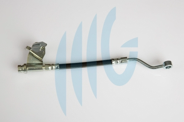 Brake Hose (02160961)